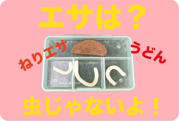 えさは？。虫じゃないよ！