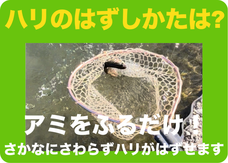 ハリのはずしかたは。