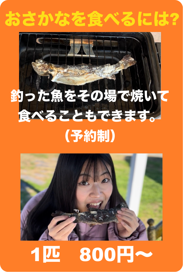 おさかなを食べるには？