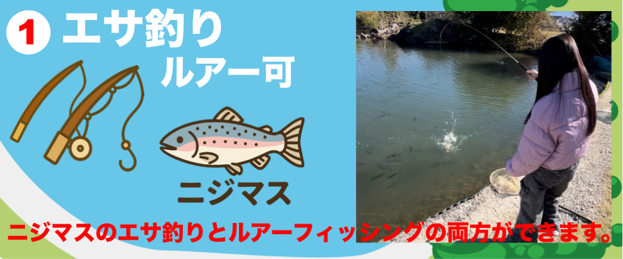 ニジマスのエサ釣りとルアーフィッシングの両方ができます。