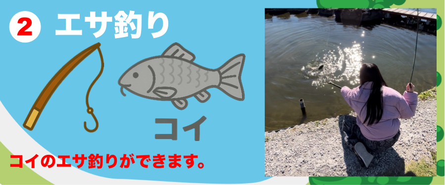 コイのエサ釣りができます。