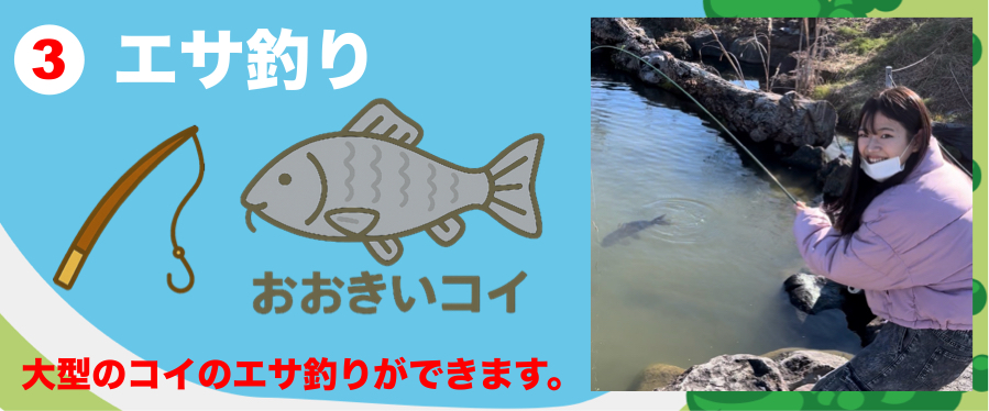 大型のコイのエサ釣りができます。