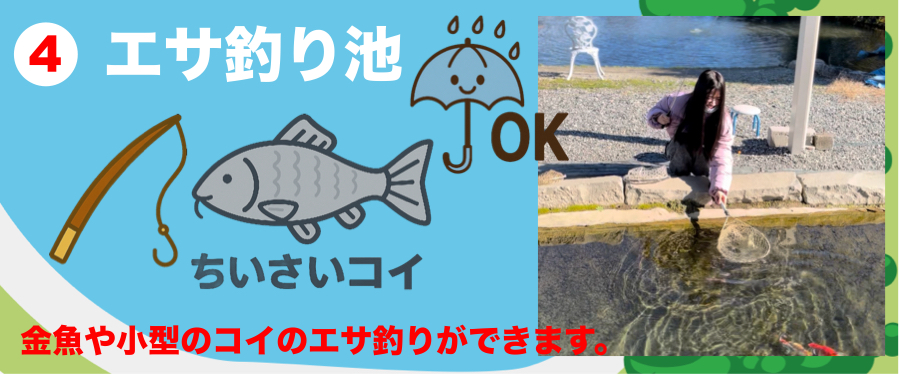 金魚や小型のコイのエエサ釣りができます。屋根があるので雨天もOK！