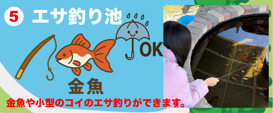 金魚や小型のコイのエサ釣りができます。